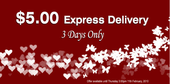 $5.00 Express Delivery